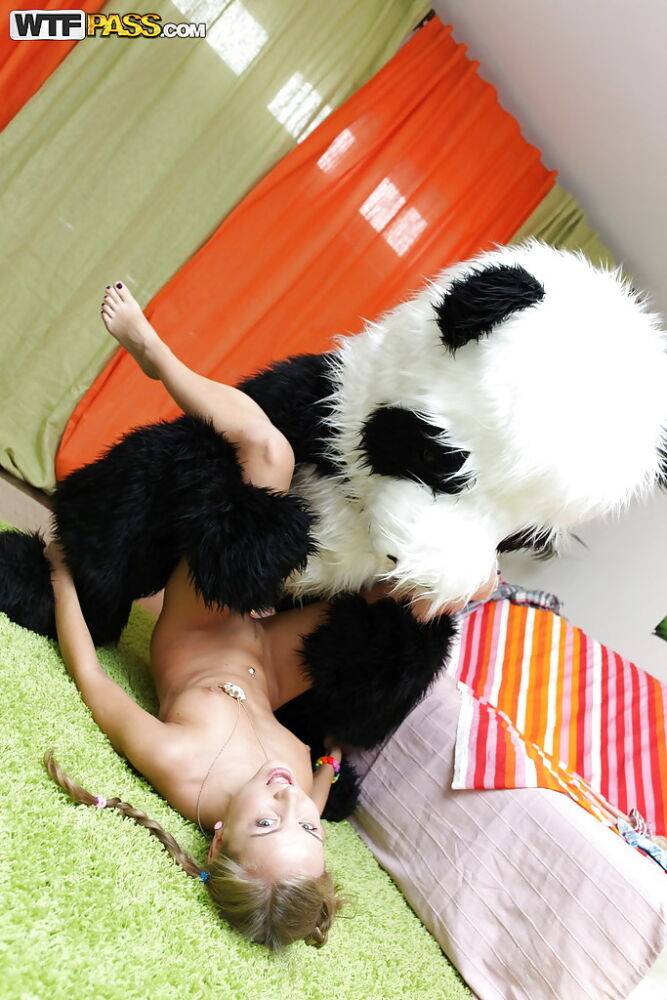 Salacious teenage cutie with pigtails has hardcore sex with a panda toy - #13