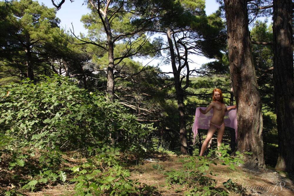 Natural redhead hangs from a tree branch after getting naked in a forest | Photo: 2975909