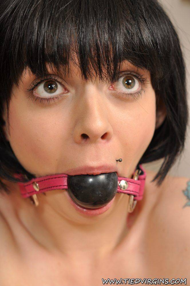 Alt slut is tied up and gagged in this picture gallery - #4