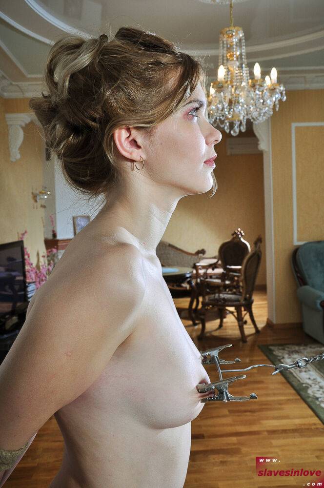 Nude slave is fitted with nipple clamps and a mouth spreader during a flogging - #7