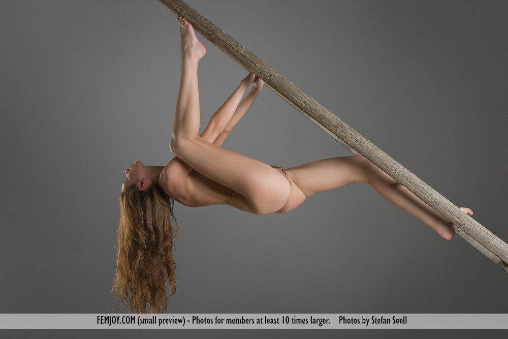 Naked white girl Alison shows her flexibility on wooden ladder - #8