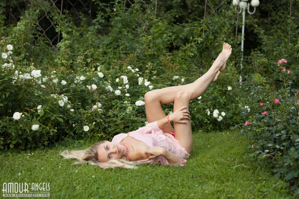 Dirty blonde Dolly touches her hairy teen pussy with a white rose on a lawn - #7