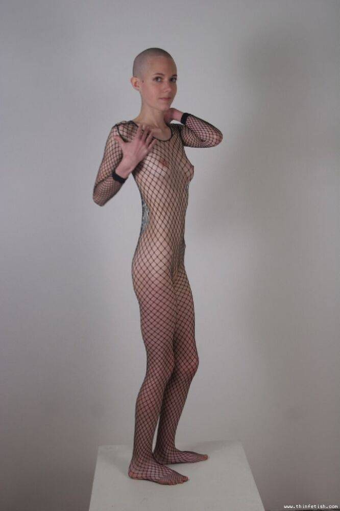 Solo model with a shaved head poses in a fishnet bodystocking - #2