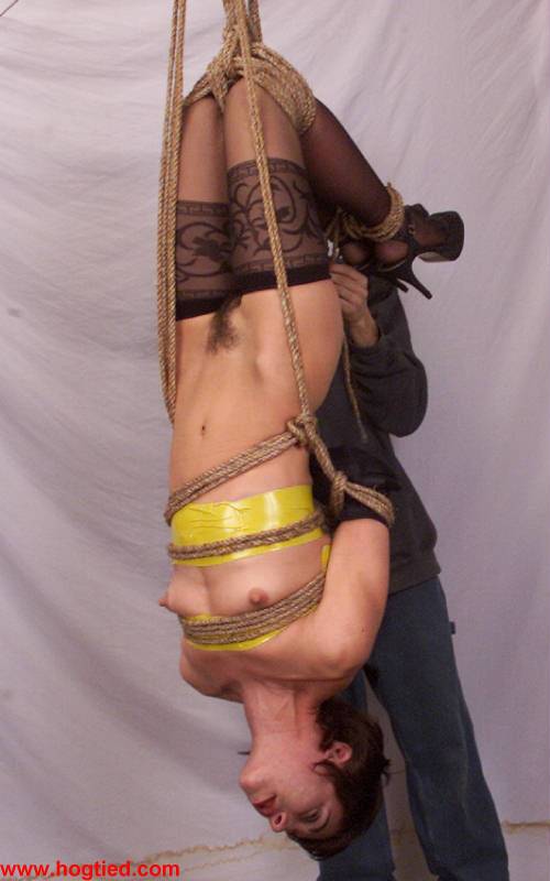 Hogtied Viva | Photo: 3974635