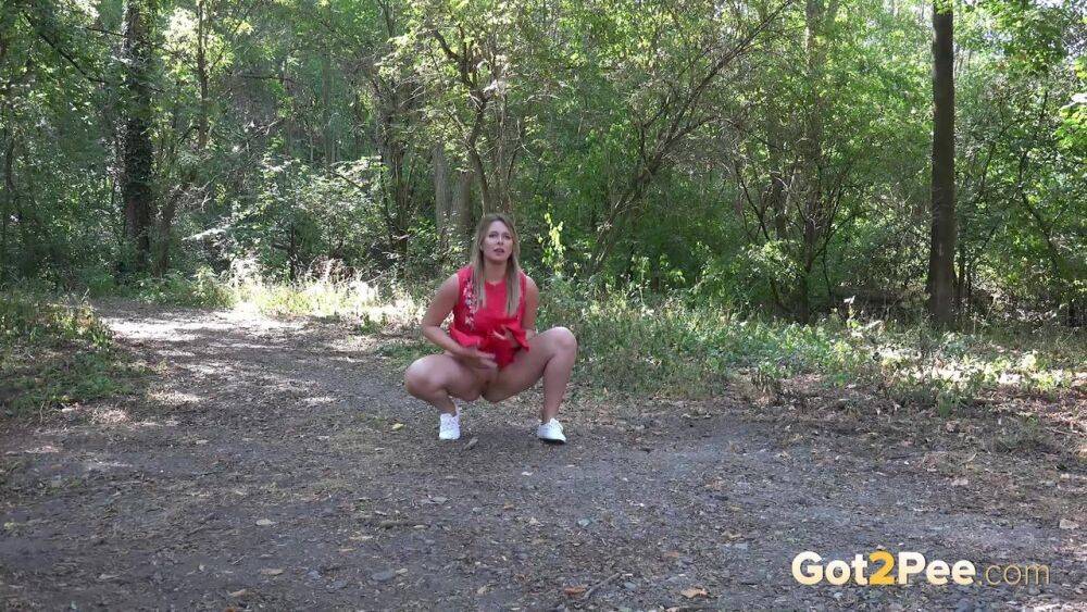 Blonde Nikki Dream pees in the suburbs - #15