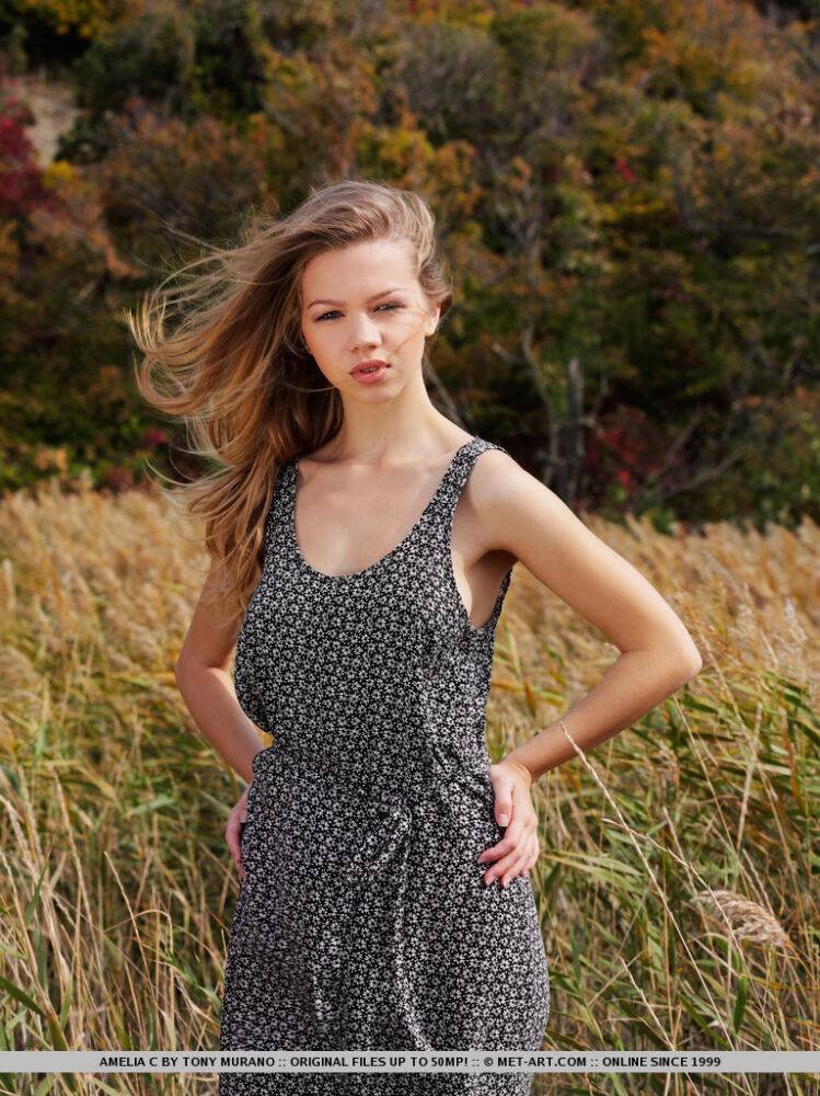 Beautiful young girl Amelia C gets totally naked on a blanket amid long weeds - #5