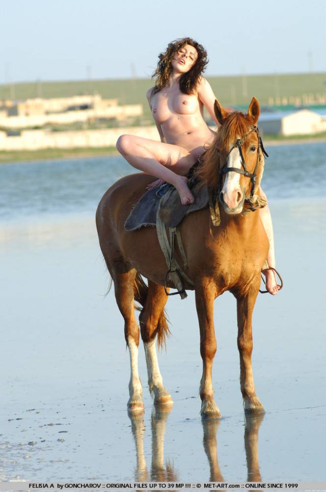 Magnificent Brunette Felisia A Rides A Horse In The Nude At The Riverside - #12