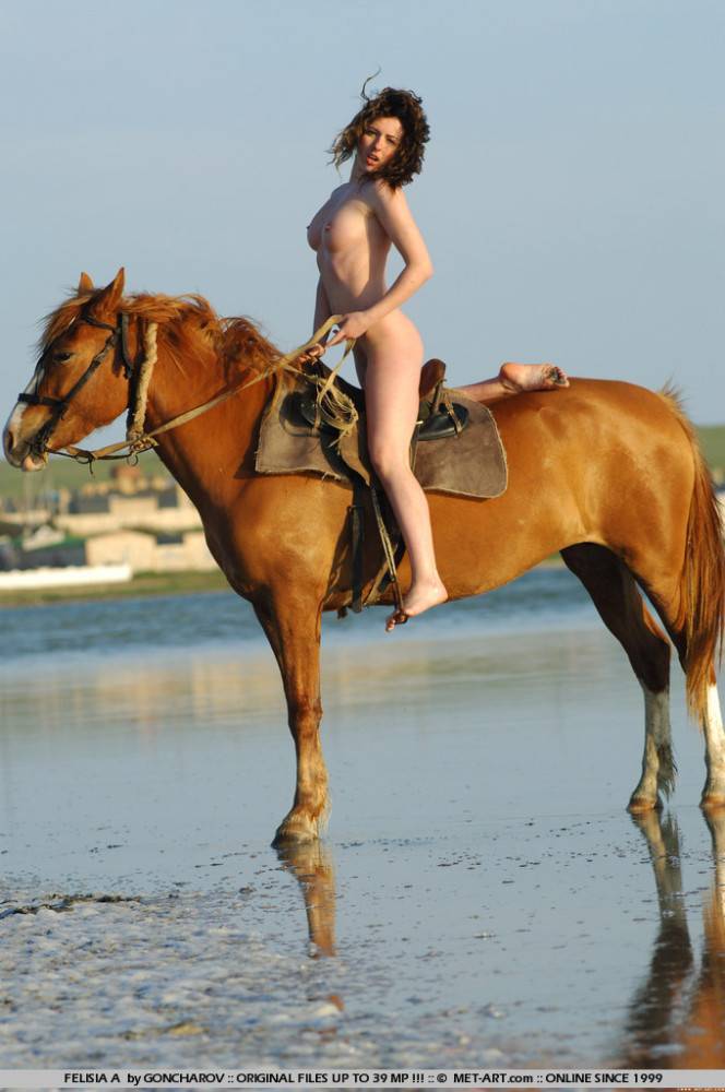 Magnificent Brunette Felisia A Rides A Horse In The Nude At The Riverside - #18