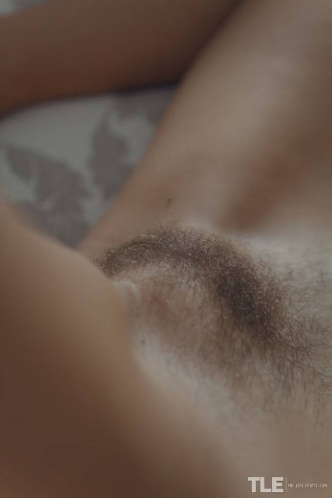 Svelte brunette teen Emily J exposing hairy pussy - #12