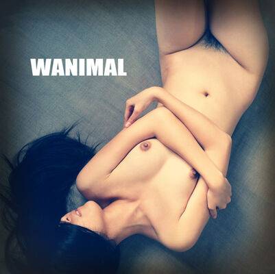 wanimal912 | Photo: 9073642