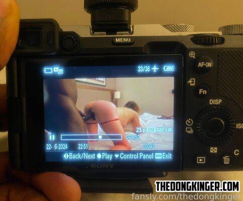 thedongkinger - #14