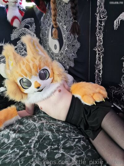 Little Pixie Kitten - #11