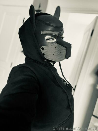 trans.mutt - #13
