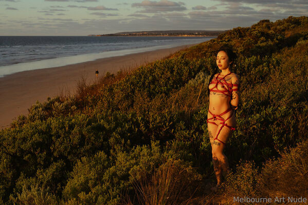 melbourneartnude - #19