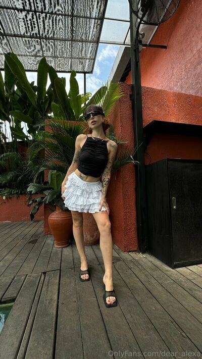 dear_alexa - #6