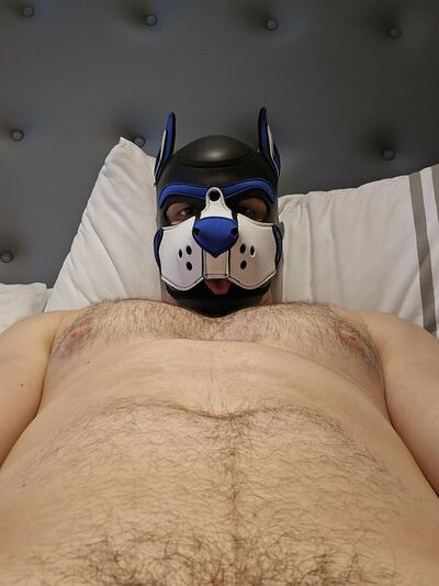 pupbuday - #16