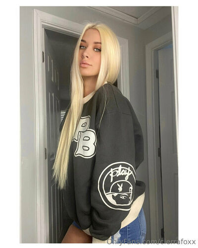 thesierrafox - #9