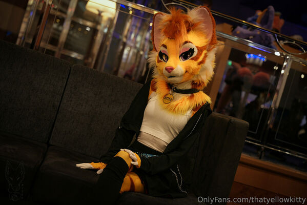 thatyellowkitty - #7