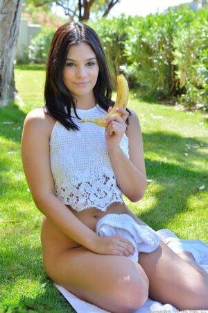 Nice teen inserts all kinds of veggies up her snatch out on the lawn on picsofsex.com