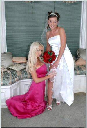 Busty blonde Nikki Benz helping Penny Flame to try on wedding dress on picsofsex.com