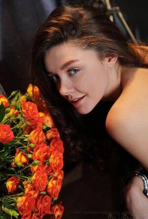 Young brunette Tina Reese releases her nice body from a lingerie ensemble on picsofsex.com