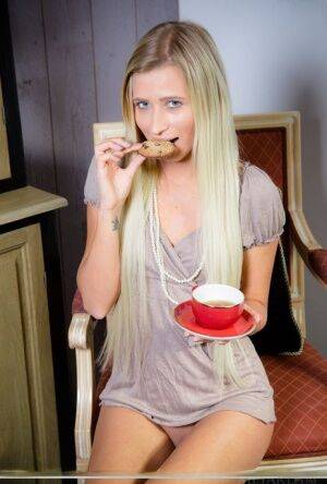 Solo girl with long blonde hair Lisa Dawn gets naked after tea and a cookie on picsofsex.com