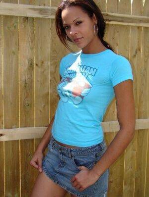 Teen amateur Karen exposes her uspkirt panties near a backyard fence on picsofsex.com