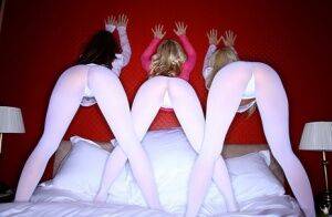 Three naughty lesbians in white pantyhose licking pussy and ass on picsofsex.com