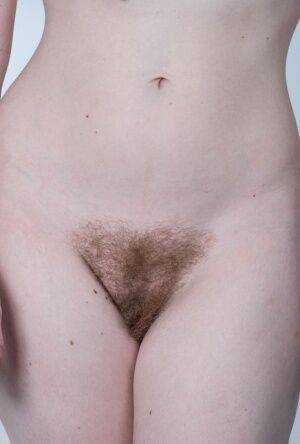 Solo model Ana Molly exposes her hairy pits before showcasing her beaver on picsofsex.com