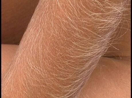 Hairy Arms Lori Anderson on picsofsex.com