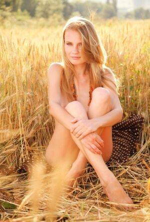 Young blonde beauty Frida C models naked while in a field of wheat on picsofsex.com