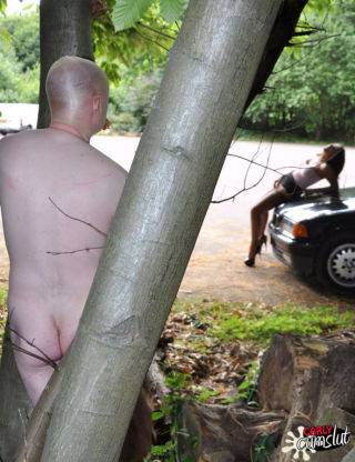 Dirty cum slut carly drove out into the woods looking for some dogging actio - Britain on picsofsex.com