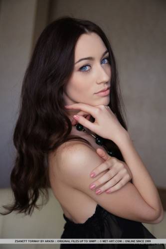 The Hot Brunette Teen Zsanett Tormay Is Showing Both Shaved Slit Up The Black Lingerie on picsofsex.com