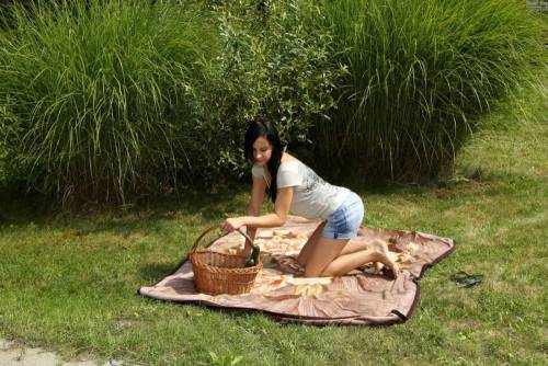 Sexy Brunette Abbie Cat Has Arranged The Picnic With Stripping And Hot Dildo Fucking on picsofsex.com